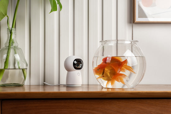 Aqara Camera Hub G3