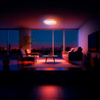 Ceiling Light T1M