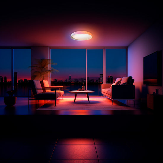 Ceiling Light T1M