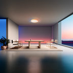 Ceiling Light T1M