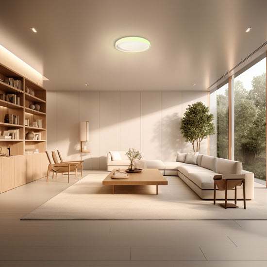 Ceiling Light T1M