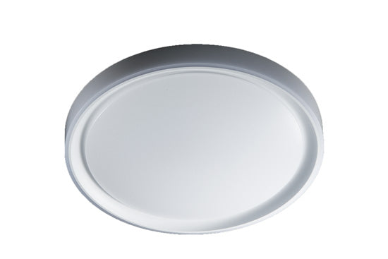 Ceiling Light T1M