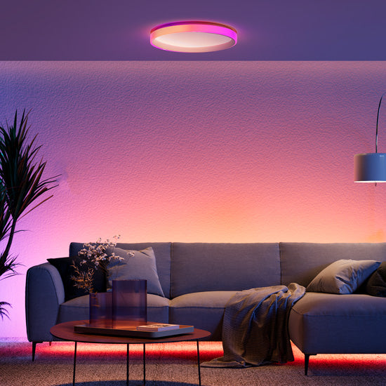 Ceiling Light T1M