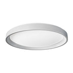 Ceiling Light T1M