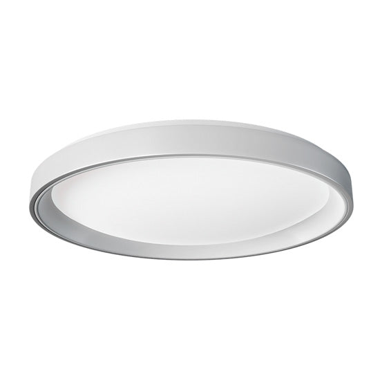 Ceiling Light T1M