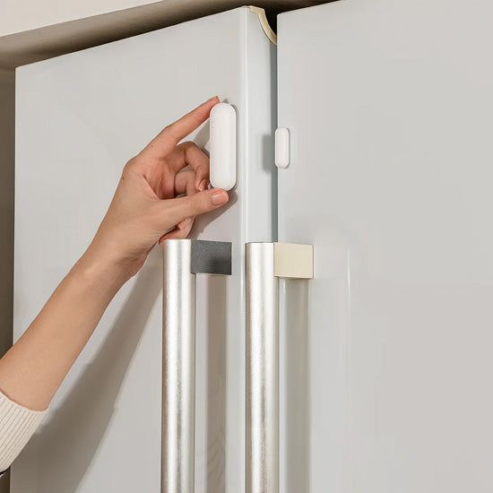 Door and Window Sensor P2