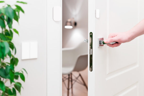 Door and Window Sensor T1