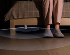 Motion and Light Sensor P2