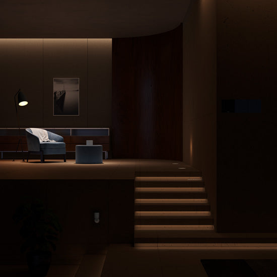 Single Switch Module T1 (No Neutral)