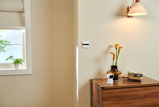 Display Switch V1 EU