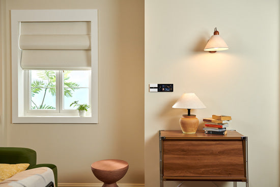 Display Switch V1 EU
