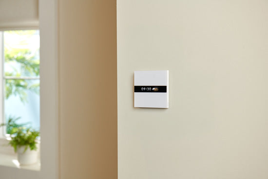 Display Switch V1 EU