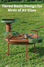 Birdbath Jolly V AI