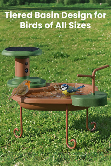 Birdbath Jolly V AI