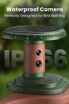 Birdbath Jolly V AI