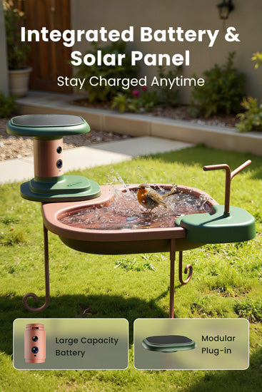 Birdbath Jolly V AI