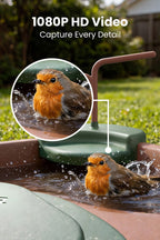 Birdbath Jolly V AI