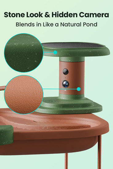 Birdbath Jolly V AI