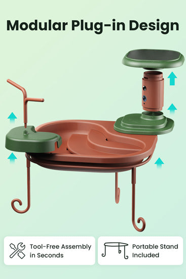 Birdbath Jolly V AI