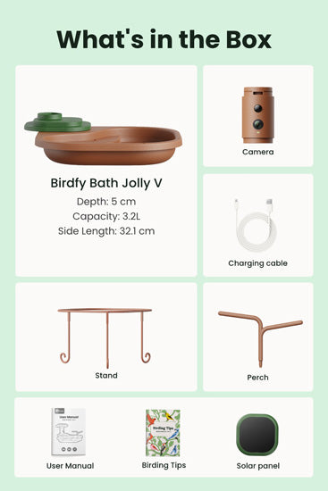 Birdbath Jolly V AI