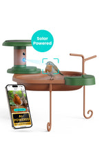 Birdbath Jolly V AI