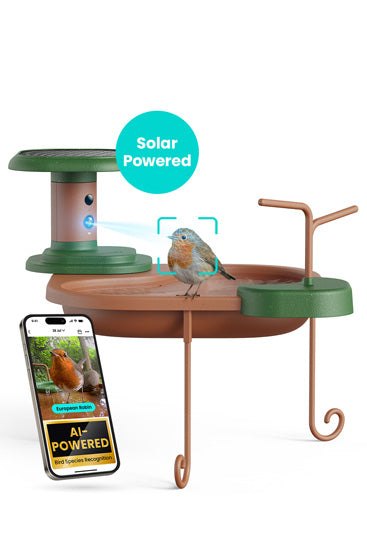 Birdbath Jolly V AI