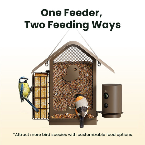 Feeder Metal V AI with Solar