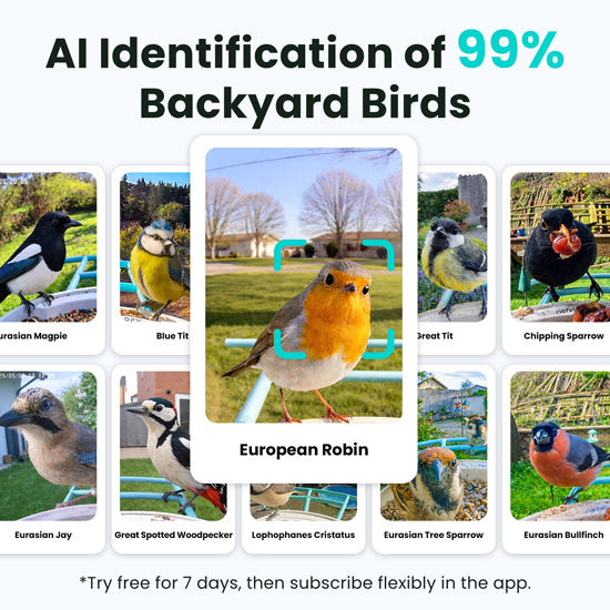 Feeder AI by Subscription w/ solar