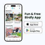 Feeder AI by Subscription w/ solar