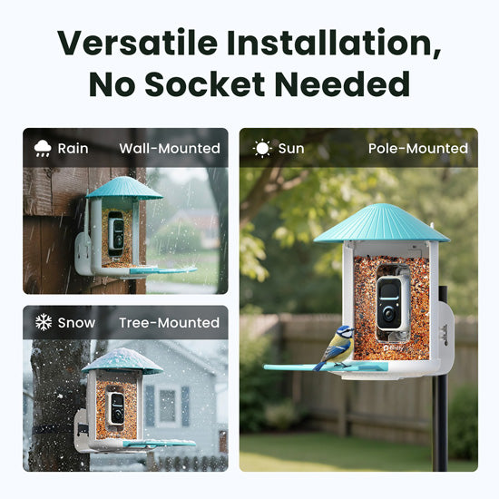 Feeder AI by Subscription w/ solar