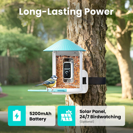 Feeder AI by Subscription w/ solar