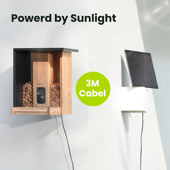 Feeder Bamboo AI Lifetime Free w/ Solar