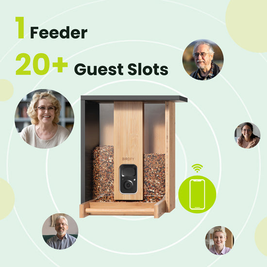 Feeder Bamboo AI Lifetime Free w/ Solar