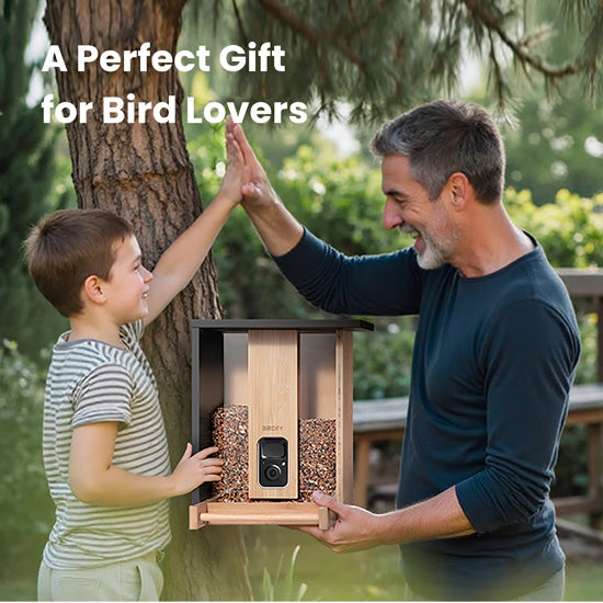 Feeder Bamboo AI Lifetime Free w/ Solar