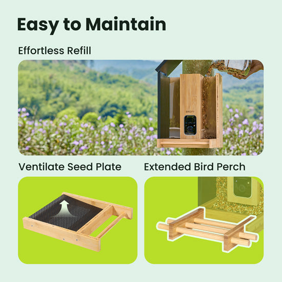 Feeder Bamboo AI Lifetime Free w/ Solar