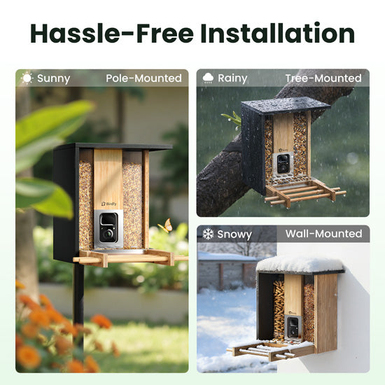 Feeder Bamboo AI Lifetime Free w/ Solar