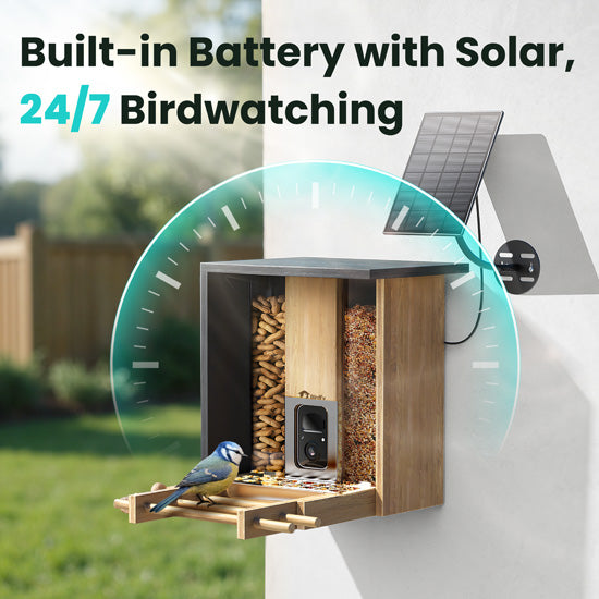 Feeder Bamboo AI Lifetime Free w/ Solar