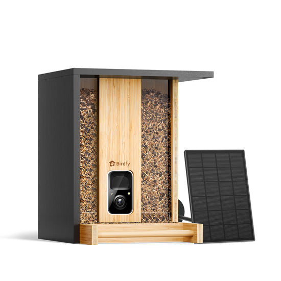 Feeder Bamboo AI w/ Solar + 6 months Birdfy Plus
