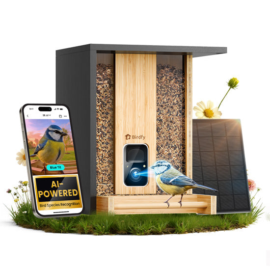 Feeder Bamboo AI and w/ Solar