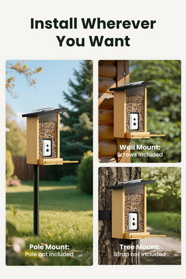 Feeder Ebony Lite