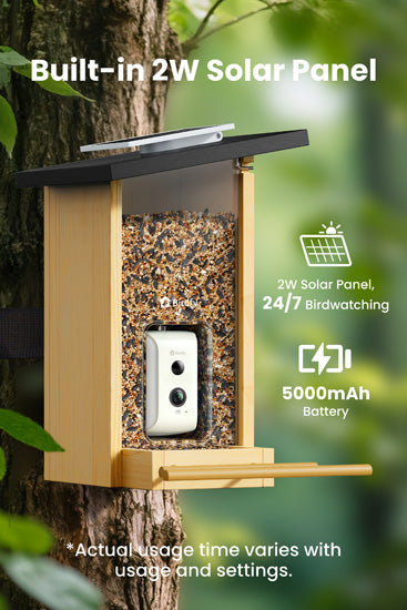 Feeder Ebony Lite
