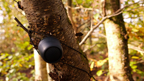 Zero XL Speaker Black Atlantic