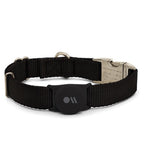 Dog collar mount for Apple Airtags Black