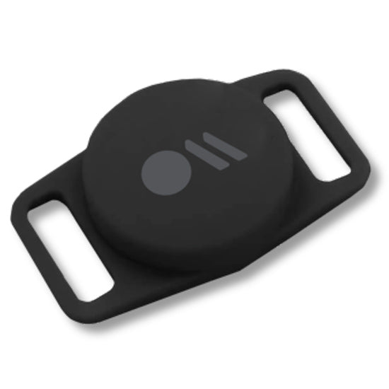 Dog collar mount for Apple Airtags Black