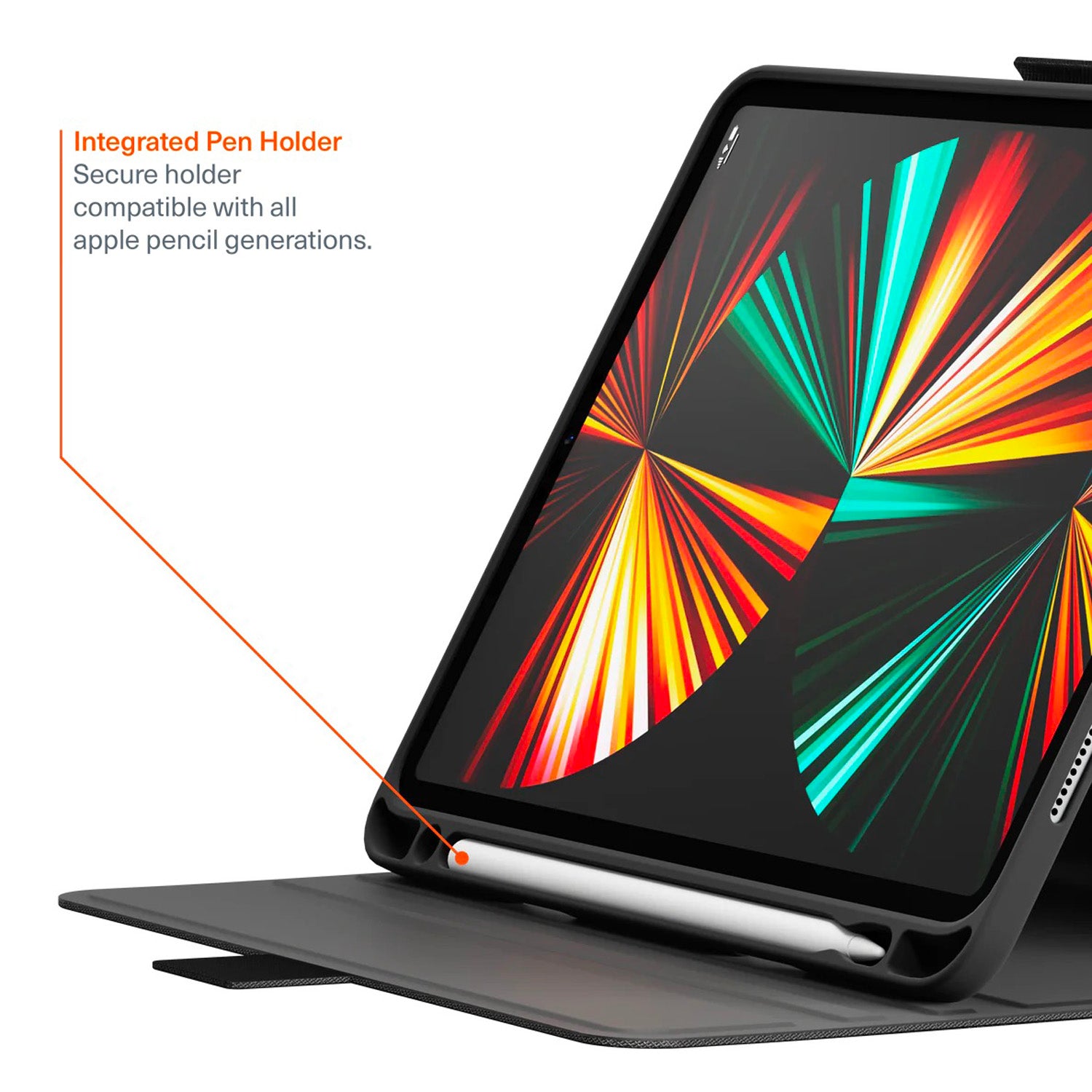 TekView iPad Pro 13 (M4/M5) Black