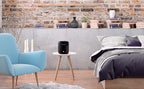 JBL Tuner XL (No Adapter) Black