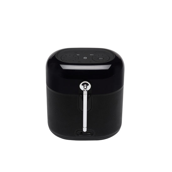 JBL Tuner XL (No Adapter) Black