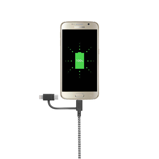 Eco Belt Cable Universel (2m) Zebra