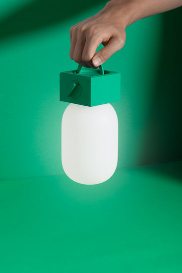 POP Light Pine