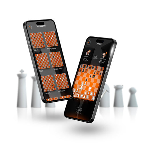 GoChess Mini